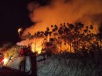 karhutla-kutai-barat-meluas-41551-hektare-hutan-dan-lahan-terbakar-istimewa-1787212761754_169